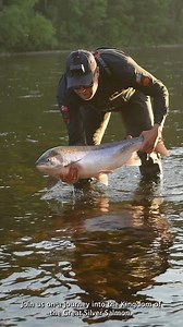 We visited the best Salmon river on Earth - the Alta River. One of the greatest nature experiences we’ve ever had. If you want to see more, there’s a full video on our YouTube channel. Recommended for people who are interested in fishing and beautiful nature. Have a great weekend from all of us! 🦈🤍 #tromsolove #altaelva | Tromsolove