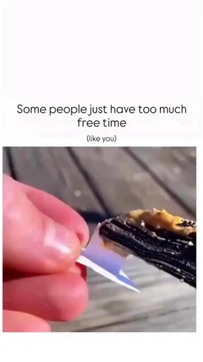 Reels fountain on Instagram: "The video features a playful prank involving a pigeon. It starts with a close-up shot of a hand holding a small, paper cutout of a smiling mouth with bright red lips and white teeth. The hand is applying a sticky substance, possibly peanut butter or another similar food, to the back of the cutout. The background is a wooden surface, suggesting an outdoor location like a boardwalk or deck. The hand then carefully places the small cutout, sticky-side up, on the wooden