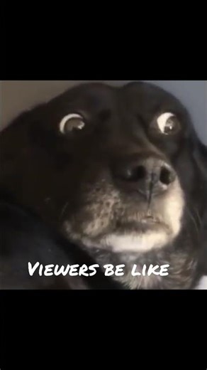 redstone 3×3 door how I make this #minecraft