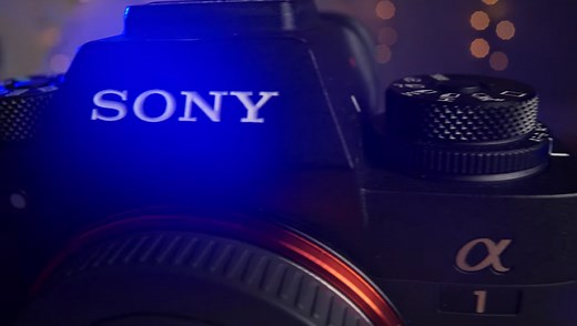 A Review of the Powerful Sony a1 Mirrorless Camera