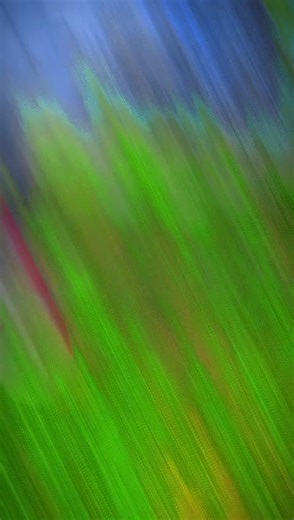 Akalanka..D (@gimhanakalanka3)’s videos with original sound - l>ALIEN_18🪬👽🚀