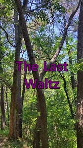 ○ The Last Waltz - Engelbert Humperdinck ○ #Old Song #Music #7080 #pop #추억의팝송