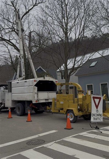From tree trimming to removal - let our professional crews take care of all your tree needs. #newportlandscaping #niagaralandscaper #landscapecontractor #landscapedesigner #landscapeconstruction #landscapemaintenance #treecontractor #treeremoval #treetrimming #arborist #buildingmaintenance #outdoormaintenance #commercialcontractor #grimsby #vineland #stcatharines #thorold #niagarafalls #notl #ontario #canada #fyp #fy