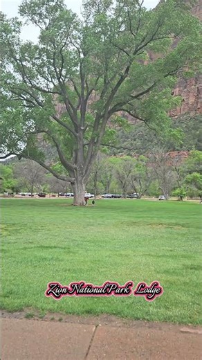 Zion National Park Lodge