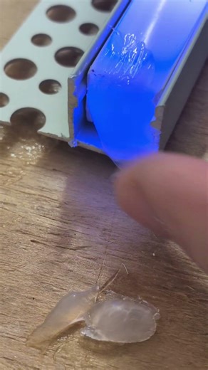 waterproofing shower niche RGB lighting #interiordesign #ledstrips #remodelingexperts