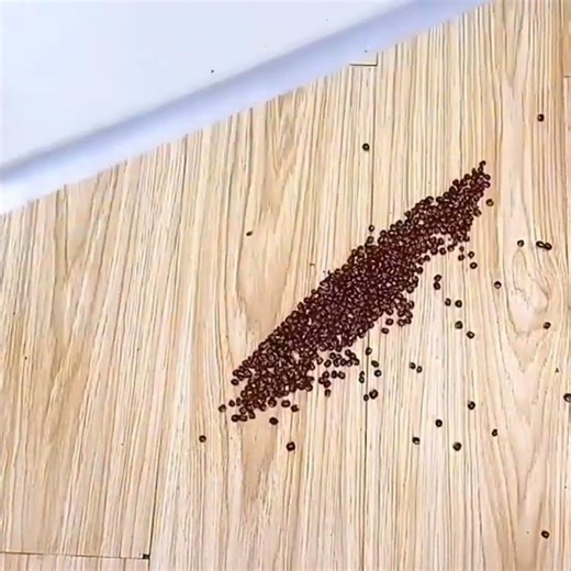 Door Gap Bottom Sealing Strip Tape