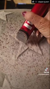 8.9M views · 23K reactions | Wow!  This clip art stars design by Jillian Scott The Clipper Queen is amazing! #horsereels #horsesofinstagram #equestrianstyle #proequinegrooms #freehand #clipart #hairtattoo #Liveryman #stars #coolio | The Equine Warehouse | Facebook