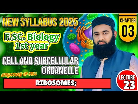 Ribosome| Cell and subcellular organelle | Chapter 3: F.Sc. 1st Year Biology | Lec#23