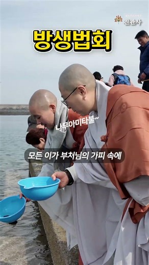 A day to let go of the mind as I release the fish #shorts #ReleaseOfAnimalsCeremony #Jingwansa