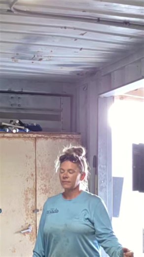 The hammerheads always throw shade | hammerhead