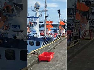Newlyn Harbour and Fish Market Cornwall UK