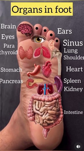 Press Here to Clean Your Blood Vessels (Hand & Foot Reflexology Map.#Reflexology #CloggedArteries