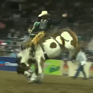 33K views · 1.6K reactions | Brody Cress got off to a great start at the National Western with an 84-point ride on night one in Denver! | CowboyChannel | Facebook
