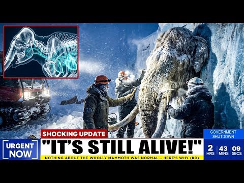 Scientists Found Perfectly Preserved Mammoths… And It Changed Everything We Know