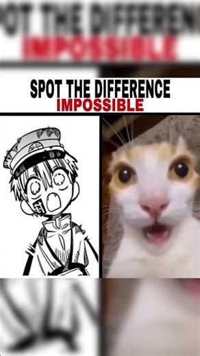 TBHK Meme of the Day 78