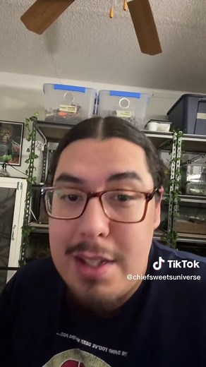 Best Beginner Lizard: Affordable Reptiles for Beginners