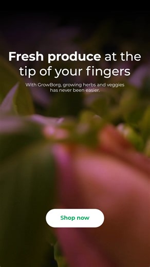 🌱 What if you could grow fresh food in your kitchen, without too much effort? 🌿 Meet GrowBorg, the AI-powered indoor garden that turns any countertop into a smart, self-sustaining farm. Whether you’re growing basil, cherry tomatoes, or mini salads, GrowBorg makes it effortless. ⚙️ Powered by GreenState AI Tech, it automatically adjusts lighting, watering, and nutrients based on each plant's needs. Real-time monitoring and mobile alerts ensure you’re always in control. ☀️ No window? No problem.