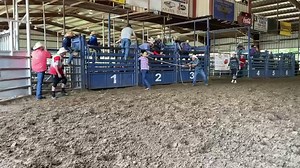 John Crimber takes the money in round 1 of the Junior Bulls. TYBR (Texas Youth Bull Riders) in Saginaw, TX | Humps N Horns Bull Riding Magazine