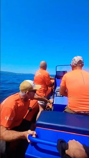 Rénovation Semi-Rigide SNSM