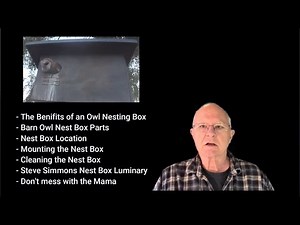 Building Barn Owl Boxes