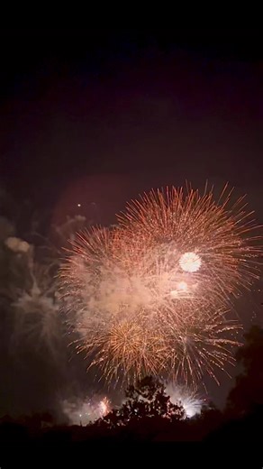 1.9K views · 51 reactions | As this current Optimist year ends, we...