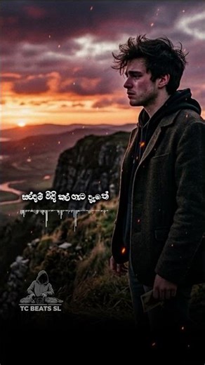 Saradam Windi Karageta (සරදම් විඳි කරගැට) - Nadeera Nonis 🎧 #shorts #lofi #tcbeatssl