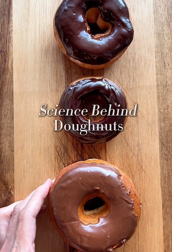 Here’s your guide to the different types of donuts and the science behind them #doughnut #foodscience #donuts #todayilearned #baking #bakingscience #learnontiktok