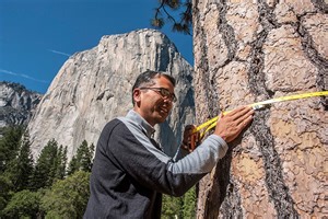 UC Berkeley scientist Patrick Gonzalez to advise White House on climate change and biodiversity | Research UC Berkeley