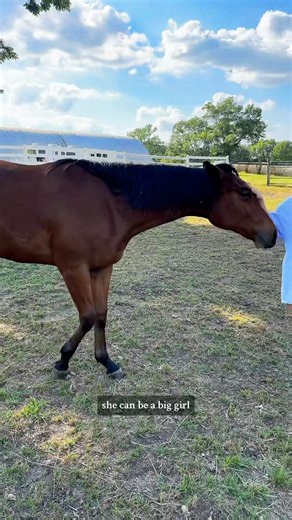 Dramatic Penelope😅🐴 | Katie Van Slyke