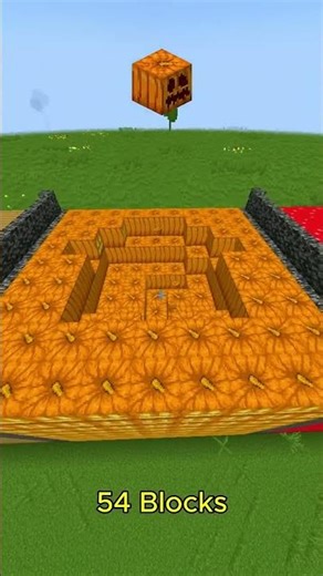 Only ONE Block Survived the TNT Test! 😨💥 | Minecraft Shorts