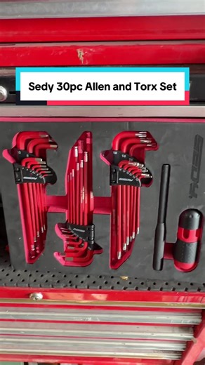 Organizing My Allen Wrench Collection with Sedy's 30pc Set