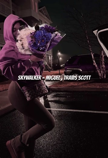 Skywalker: A Journey Through Fame and Music