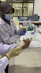 Drug administration: Intramuscular on rat