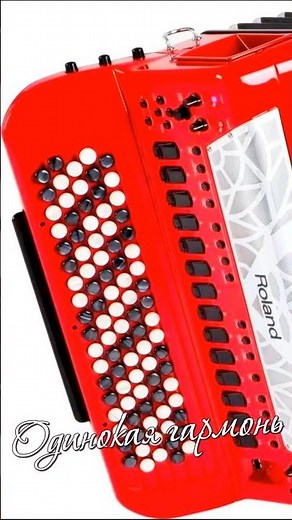 🎵 «Lonely Accordion» -1
