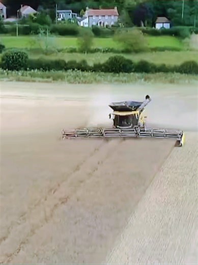 Kacper Danowski na TikTok