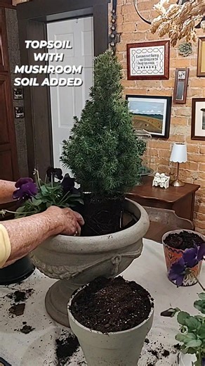 Try Our Bagged Topsoil Mixed With Mushroom Soil! $10.00 per 2 Cubic Foot Bag! Enhance Transplanting Of Trees, Shrubs And Flowers!! | George Reeves Farms