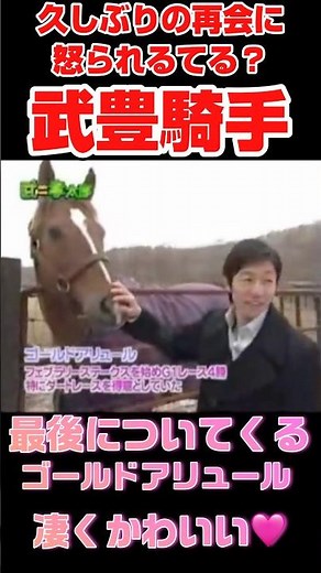 【久しぶりの再会】ゴールドアリュールに怒られる？笑 武豊騎手#競馬 #武豊tv #武豊 #ゴールドアリュール#shorts #horseriding #久しぶり #再会