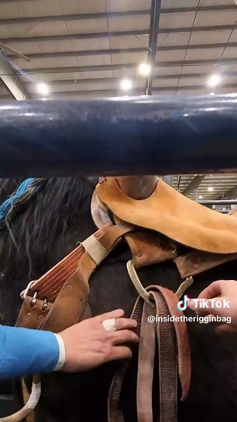 How to Saddle a Bronc: A Step-by-Step Guide