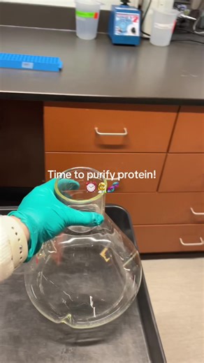 Preparing 6L LB for Protein Purification Research