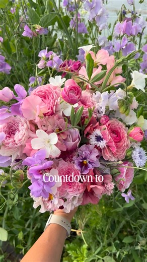 Galena Berkompas • Urban Flower Farm • Education | Sharing for everyone else who is counting down to spring flowers, sunshine and bird song. 💐💕 What’s your favorite spring flower? . . . : :... | Instagram