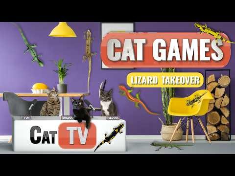 Cat TV | Lizard Takeover 🦎 | Lizard Videos for Cats to Watch | 8 HOURS