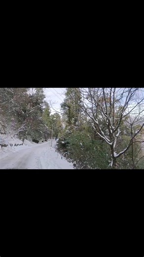 Aryan Dubey | Auli ~ Winter Wonderland of India Auli is a beautiful hill station nestled in the Garhwal Himalayas of Uttarakhand . Famous for its... | Instagram