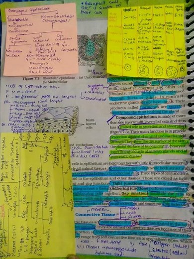 structural organization in animals || ncert|| biology