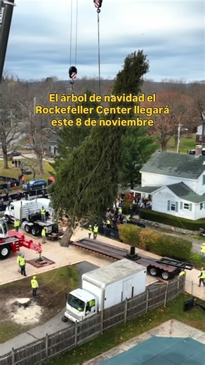 Rafa Monroy | Insight The City New York 🗽 on Instagram: "🎄 NAVIDAD EN NUEVA YORK | LLEGADA DEL ÁRBOL DEL ROCKEFELLER CENTER 2025 El emblemático árbol del Rockefeller Center llegará a la plaza el sábado 8 de noviembre de 2025, marcando el inicio de la temporada navideña en la ciudad. Ese día, una grúa instalará el abeto noruego en el corazón de Midtown Manhattan, en 30 Rockefeller Plaza (entre las calles 49 y 50, entre la 5ª y 6ª avenida). Durante la jornada se realizarán actividades gratuitas 