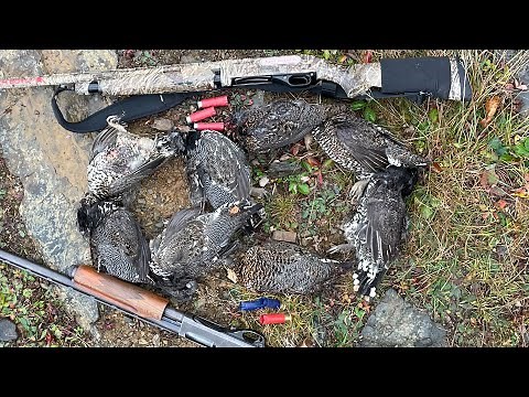 7 GROUSE in 3 MINUTES !(8 total) October Newfoundland Grouse Hunt