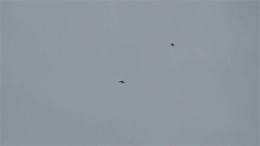 Exploring PMTI Indonesia: Insights from Garong Jr