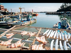 NEW JERSEY SQUID FISHING 오징어 낚시