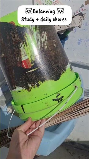 balancing both at one time 🐼......