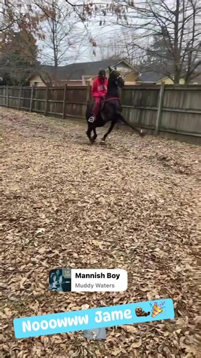 Snow Dance Challenge Highlights in Tennessee