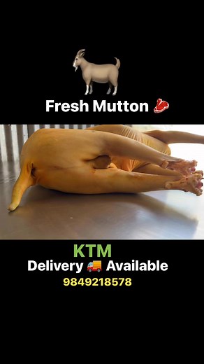 Fresh Mutton Meat shop 9849218578 | Lokal Organic